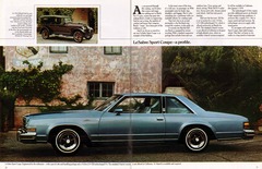 1978 Buick Full Line Prestige-20-21.jpg